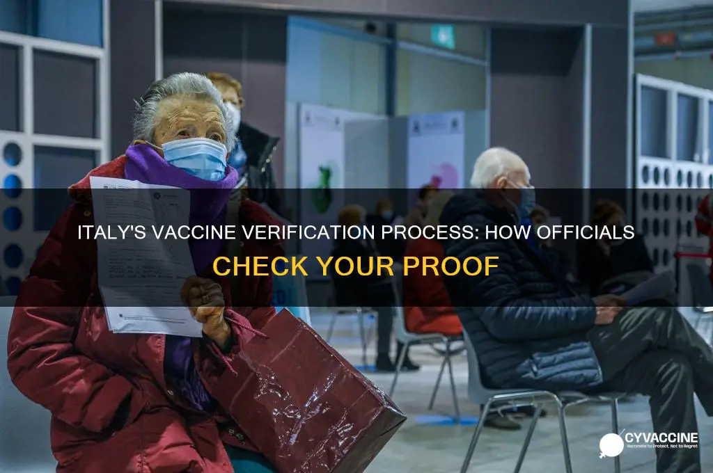 how do they check your vaccine proof italy