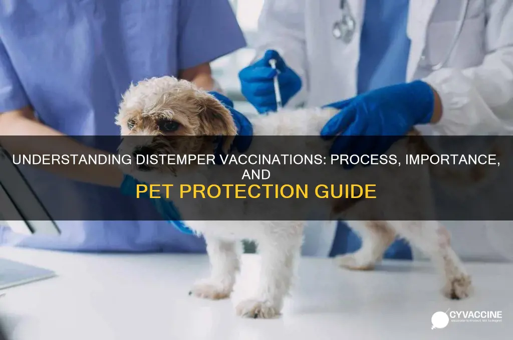how do they do distemper vaccinations