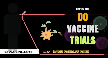 Unveiling Vaccine Trials: A Step-by-Step Guide to Development and Testing
