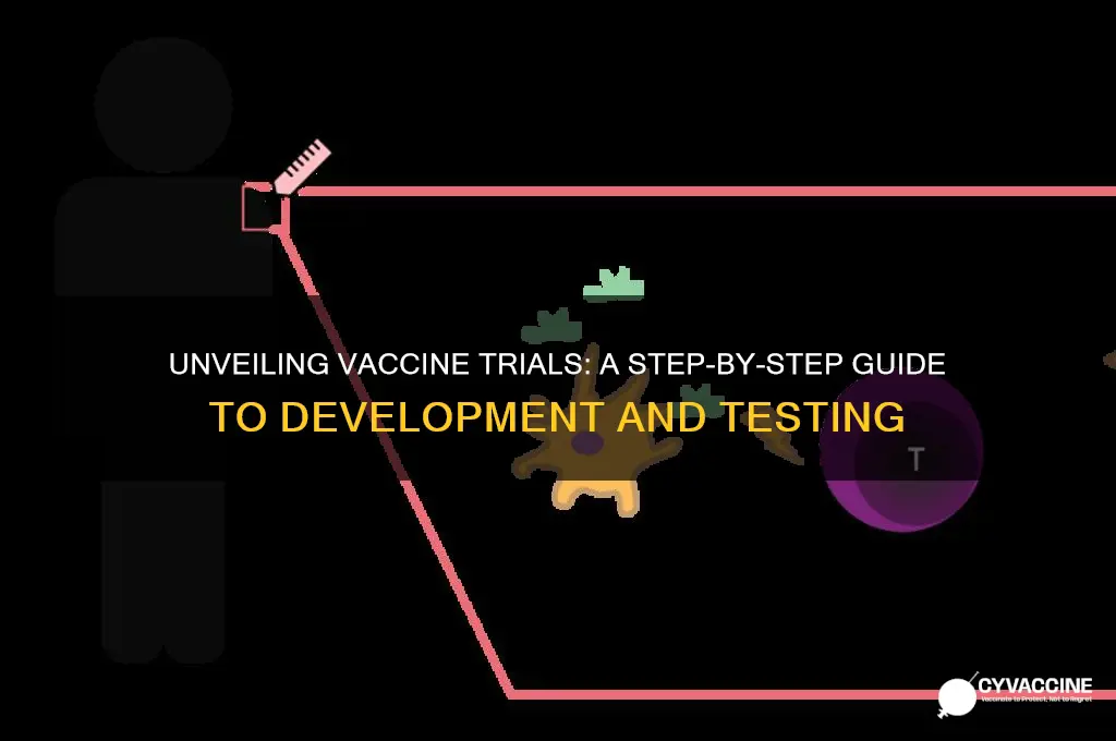 how do they do vaccine trials