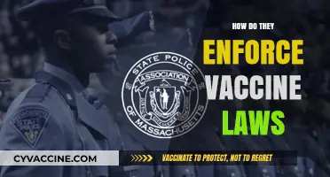 Enforcing Vaccine Laws: Strategies, Challenges, and Public Health Impact