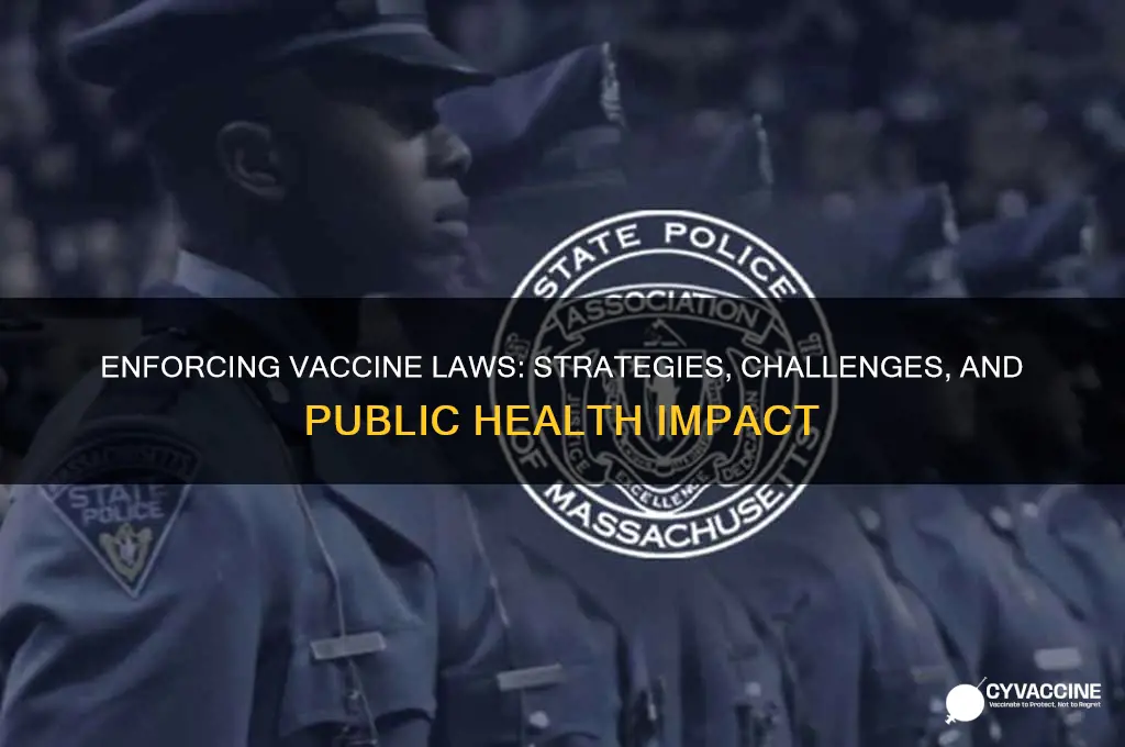 how do they enforce vaccine laws