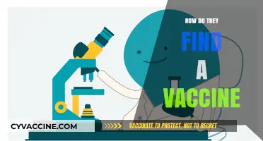 Unveiling the Science: How Researchers Discover and Develop Vaccines