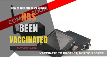 Vaccine Tracking Systems: How Governments Monitor Immunization Records