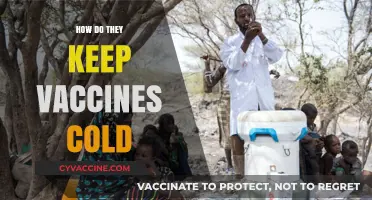 Keeping Vaccines Cold: The Critical Role of Cold Chain Technology