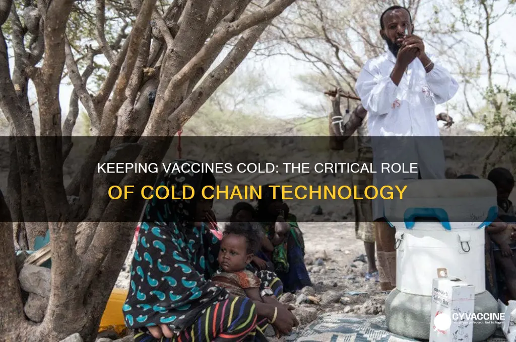 how do they keep vaccines cold