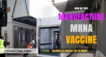 Unveiling the Process: How mRNA Vaccines Are Manufactured