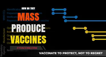 Mass Producing Vaccines: The Science and Process Behind Global Distribution