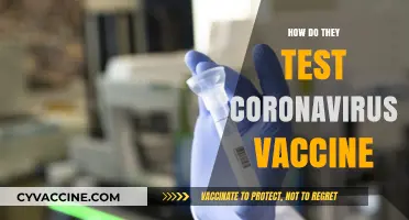 Unveiling the Science: How Coronavirus Vaccines Undergo Rigorous Testing