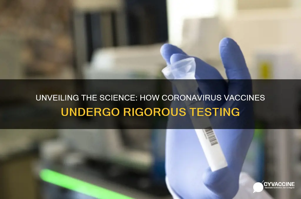 how do they test coronavirus vaccine