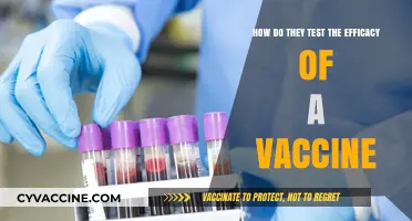Unveiling Vaccine Efficacy: The Science Behind Clinical Trials and Testing