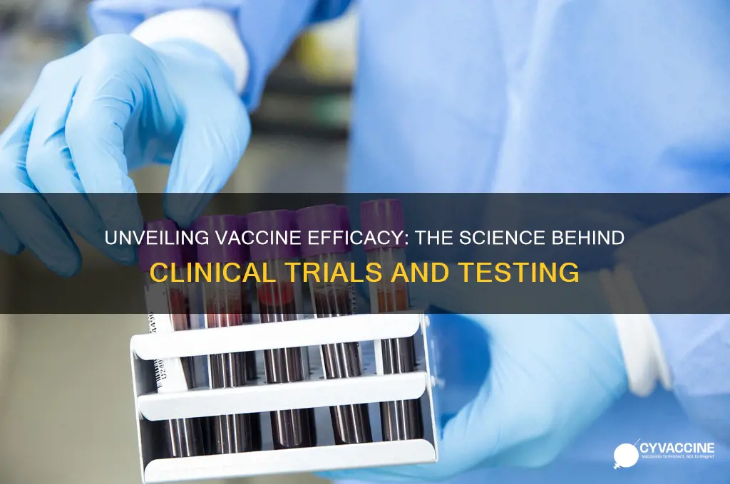 how do they test the efficacy of a vaccine