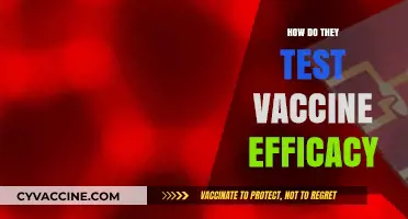 Unveiling Vaccine Efficacy: Methods and Metrics Behind Clinical Trials