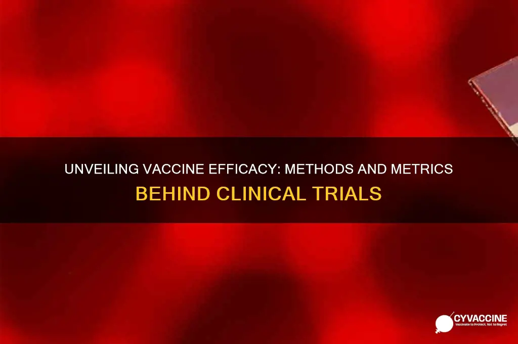 how do they test vaccine efficacy