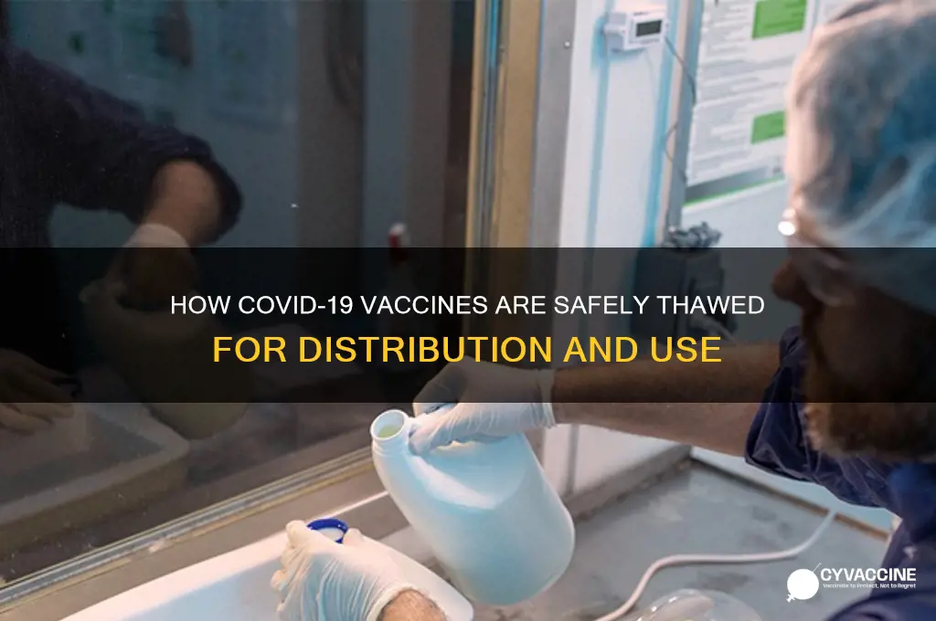 how do they thaw the vaccine