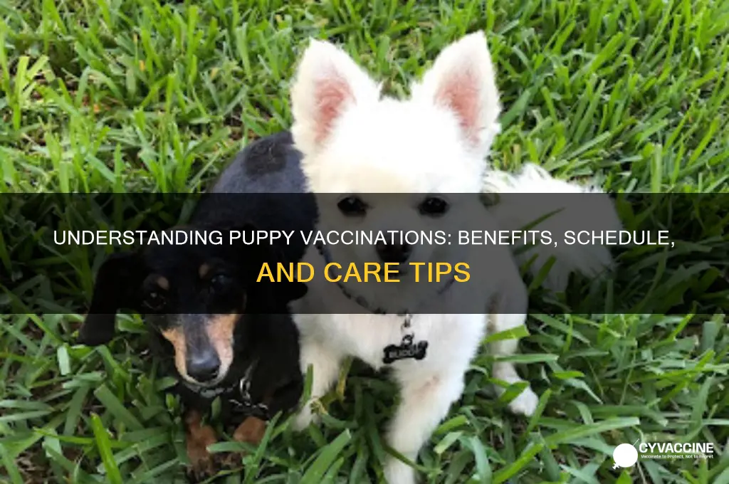 how do vaccinations affect my puppy