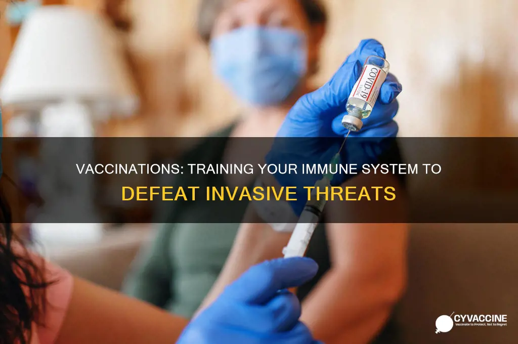 how do vaccinations help prepare the body to fight invasions