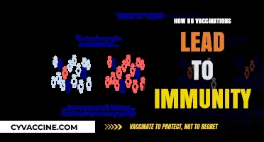 Understanding Vaccines: How Immunizations Build Lasting Immunity in Our Bodies