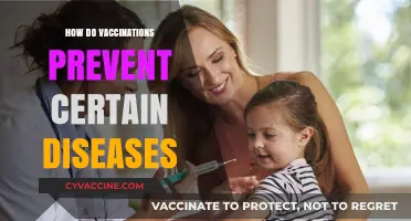 Understanding Vaccines: How Immunizations Shield Against Deadly Diseases