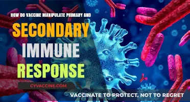 Vaccine Strategies: Enhancing Primary and Secondary Immune Responses Explained