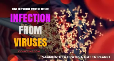 How Vaccines Train Your Immune System to Fight Future Infections