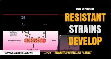 Understanding Vaccine Resistance: How Strains Evolve and Adapt Over Time