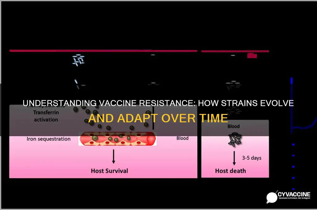 how do vaccine resistant strains develop