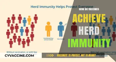 Understanding Herd Immunity: How Vaccines Protect Communities and Save Lives