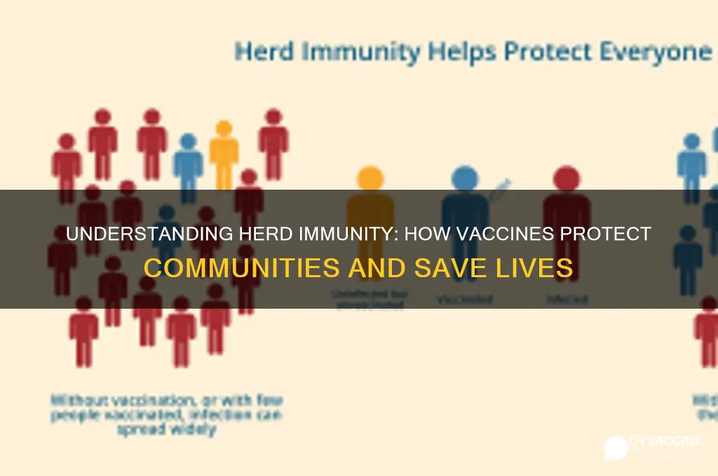 how do vaccines achieve herd immunity