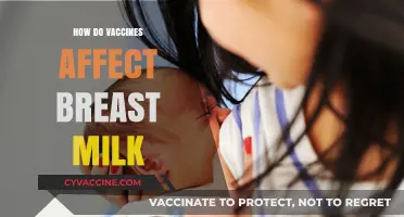 Vaccines and Breast Milk: Benefits, Safety, and Impact on Infants