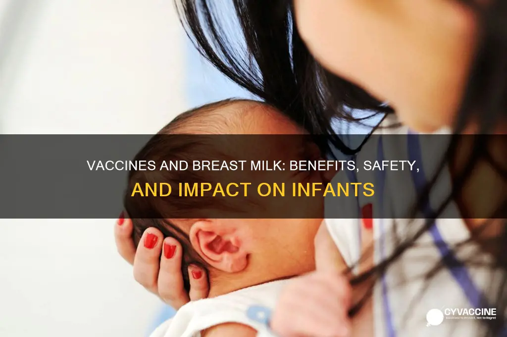 how do vaccines affect breast milk