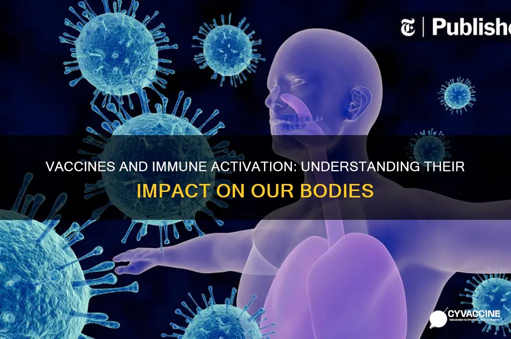 how do vaccines affect immune activation