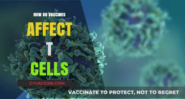 Vaccines and T Cells: Understanding Immune Response Mechanisms