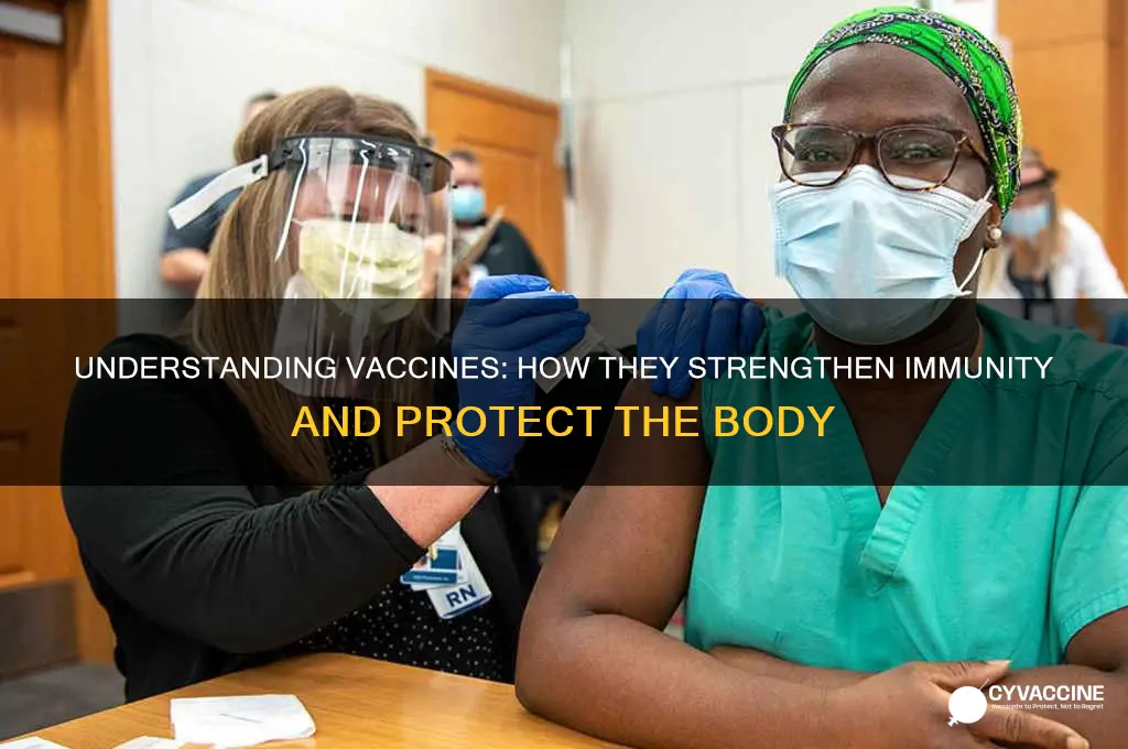 how do vaccines affect the body