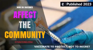Vaccines' Community Impact: Health, Safety, and Societal Benefits Explained