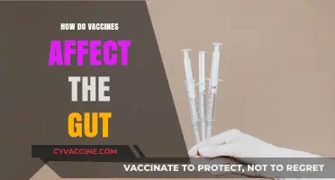 Vaccines and Gut Health: Unraveling the Surprising Connection