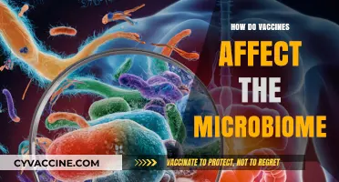 Vaccines and Microbiome: Unraveling the Impact on Gut Health