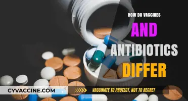 Vaccines vs. Antibiotics: Understanding Their Unique Roles in Medicine