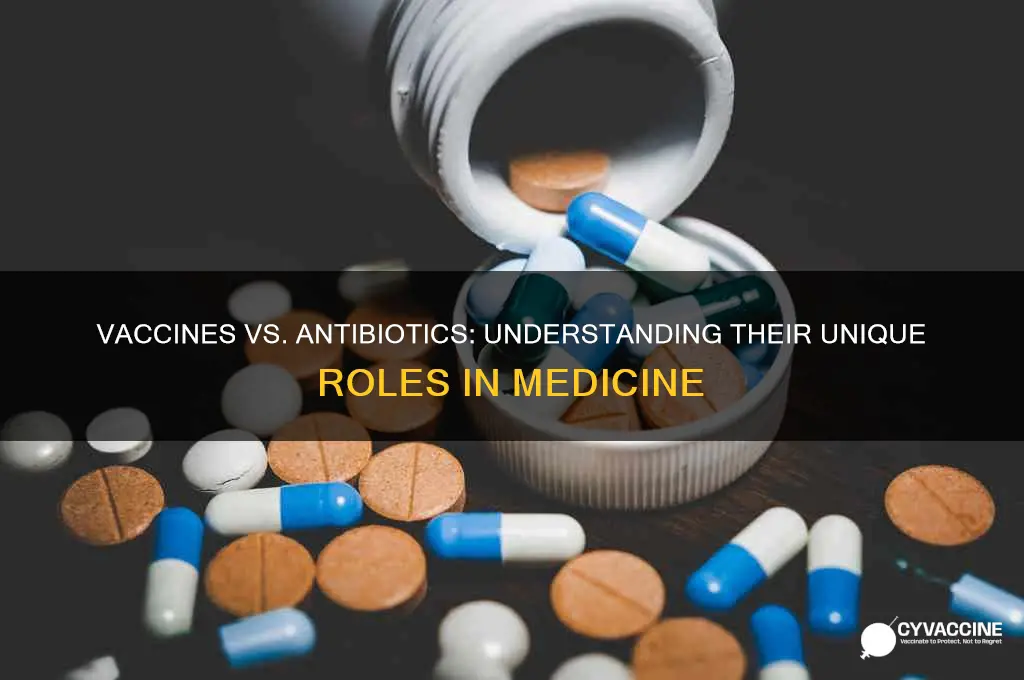 how do vaccines and antibiotics differ