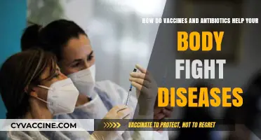 Vaccines and Antibiotics: Empowering Your Immune System Against Diseases