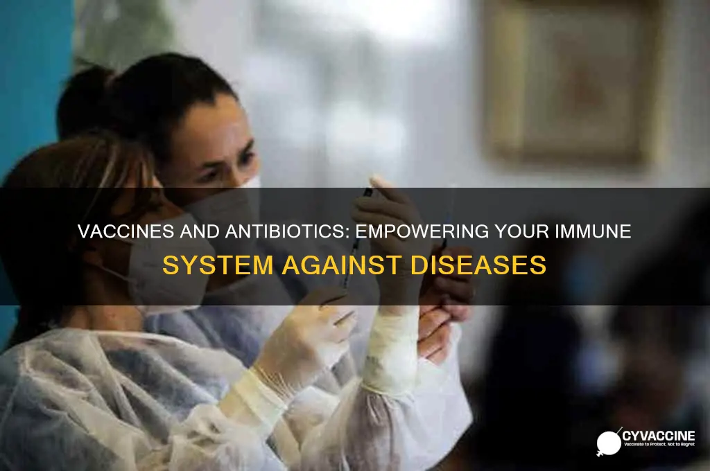 how do vaccines and antibiotics help your body fight diseases