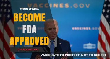 Understanding the Rigorous FDA Approval Process for Vaccines