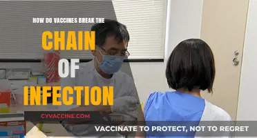 Vaccines: The Key to Breaking the Chain of Infection