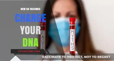 Do Vaccines Alter Your DNA? Separating Fact from Fiction