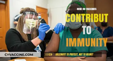 Understanding Vaccines: How They Strengthen Our Immune System's Defense