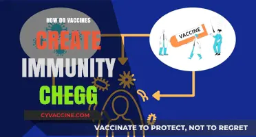 Understanding How Vaccines Build Immunity: A Chegg Guide