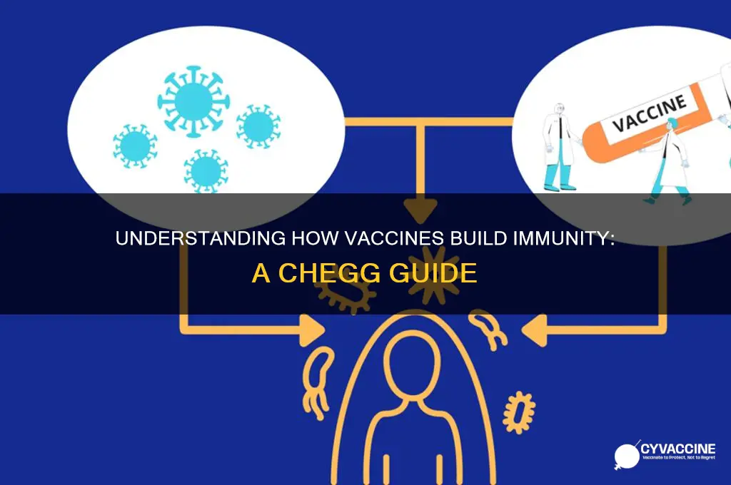 how do vaccines create immunity chegg