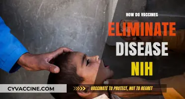 How Vaccines Eradicate Diseases: Insights from NIH Research