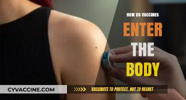 Understanding Vaccine Delivery: How Immunizations Enter and Protect the Body
