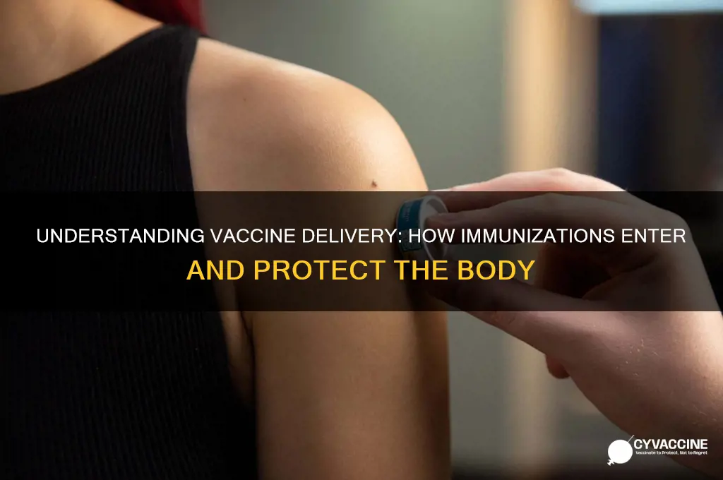how do vaccines enter the body